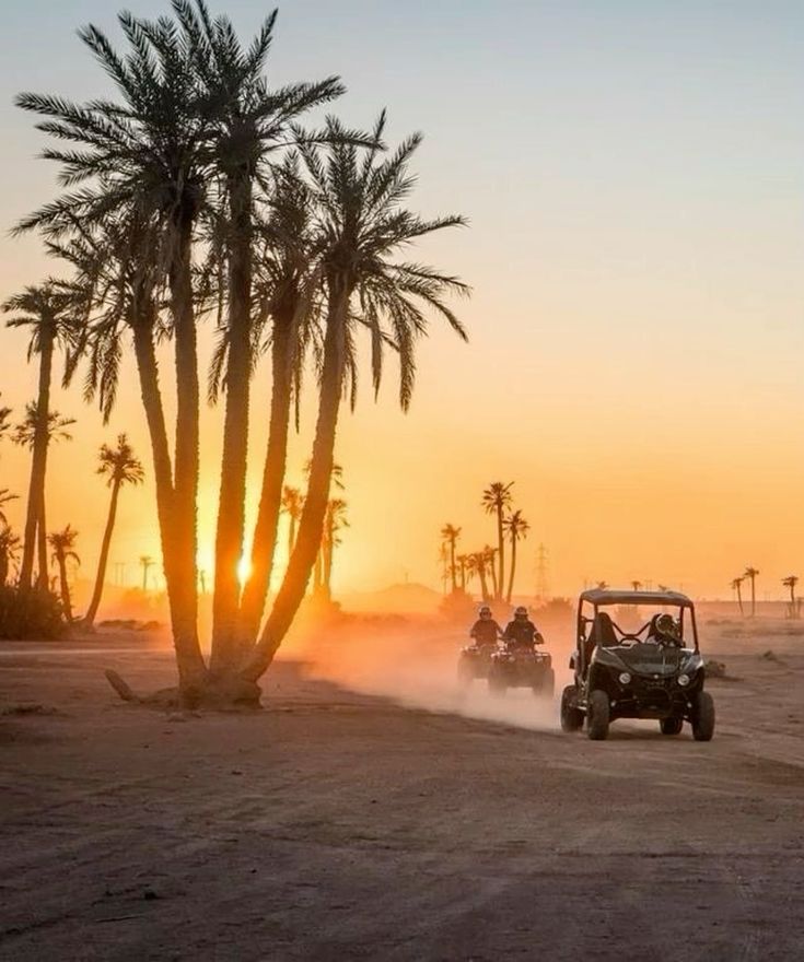 Buggy dans la palmeraie